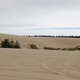 Illustration for article titled Oregon photodump (plenty o Toby)